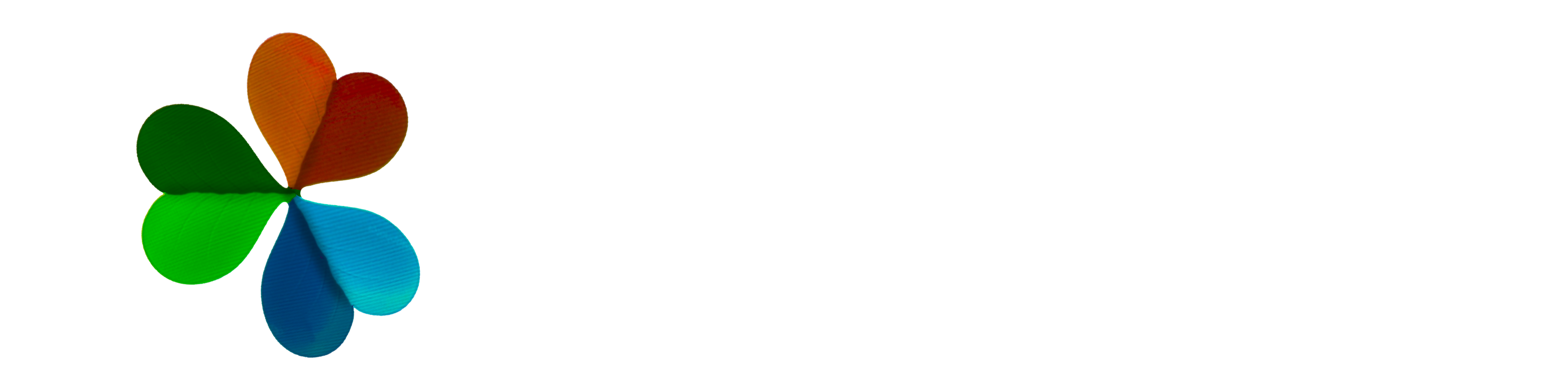 Fundación Anefun